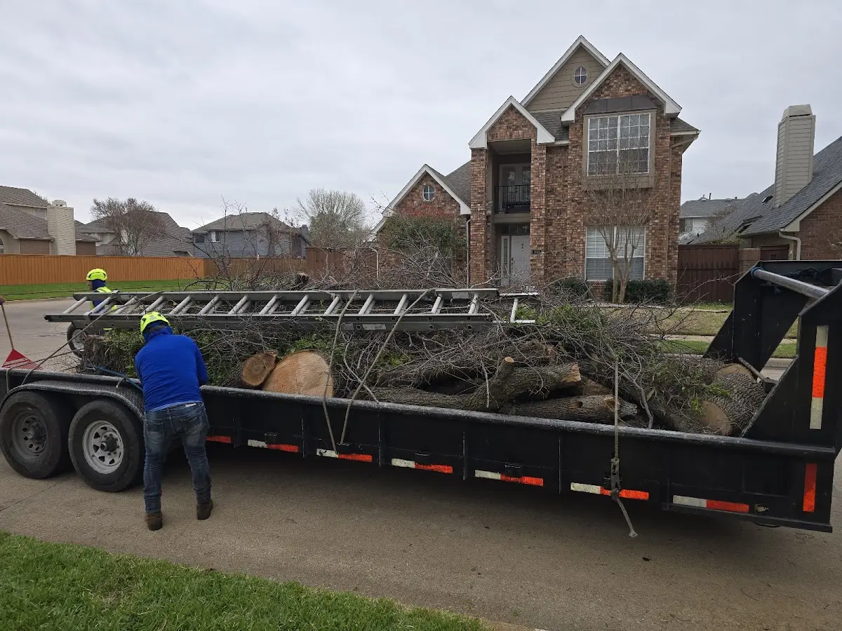Expert Lot Clearing with proper safety equipment in Driftwood